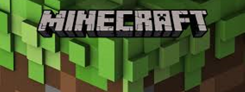 cuanto sabes de minecraft