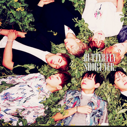 A quien Jiminie le dice Amargo - Que Tanto Sabes de BTS reto A.R.M.Y (2017)