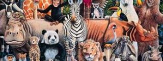 que animal eres 