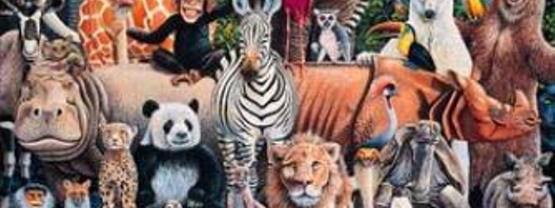 que animal eres 