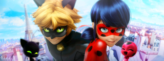 Cuanto sabes de la serie miraculous lady bag??