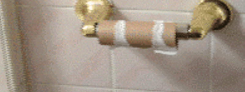 ¿Que tipo de papel de baño eres?