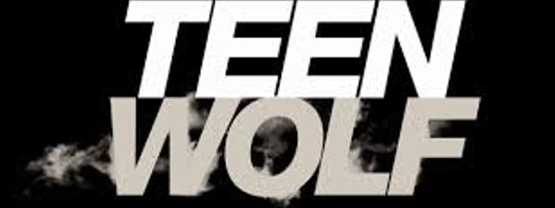 &iquest;QU&Eacute; PERSONAJE ERES DE TEEN WOLF?