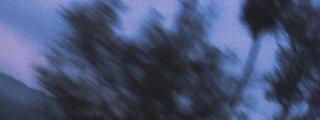 Test de personalidad tumblr