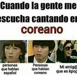 &iquest;Porqu&eacute; los sigues? - &iquest;Eres una verdadera A.R.M.Y?