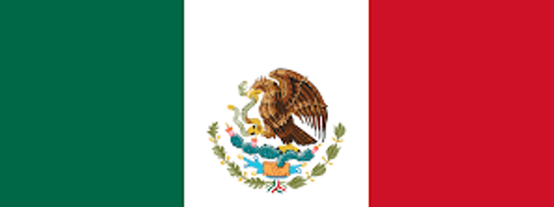 Martín papu
