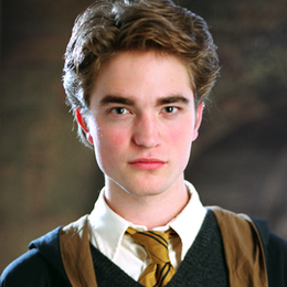 &iquest;y por ultimo con que hechizo asesinaron  a Cedric Diggory? - &iquest;Cuantos sabes sobre el universo de Harry Potter?