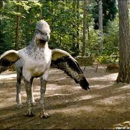 &iquest;que criatura habia en la primera clase de cuidado de  criaturas  magicas dada porHagrid ? - &iquest;Cuantos sabes sobre el universo de Harry Potter?