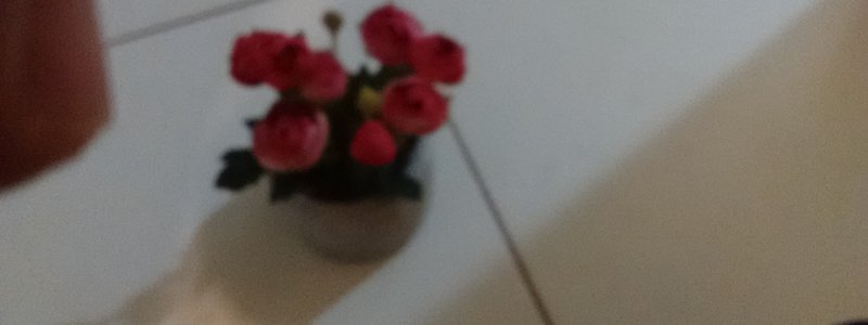 que flor eres según tú personalidad