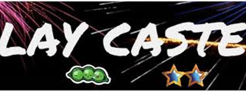 Cuanto sabes de PlayCastel