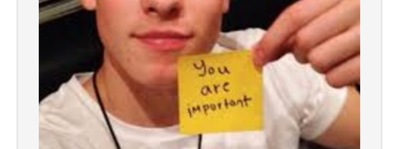 Shawn Mendes 