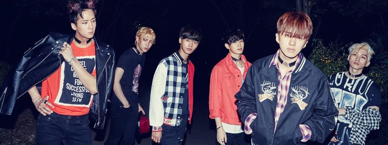 cuanto sabes de vixx