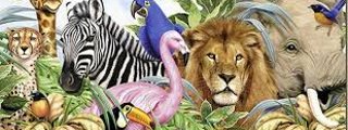 que animal eres