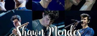 ¿Mendes army,Mendesiana o Shawner :v?