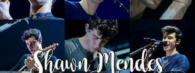 ¿Mendes army,Mendesiana o Shawner :v?