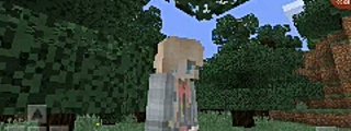 Cuanto sabes de minecraft