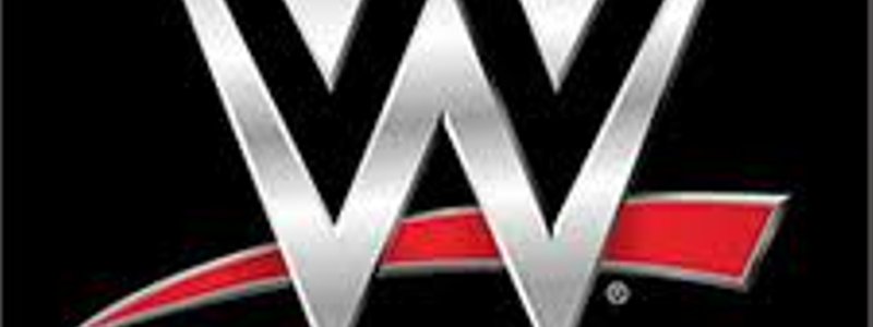 ¿Que luchador de la wwe eres?