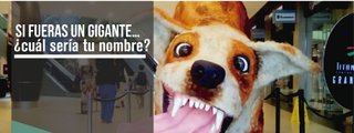 si fueras un gigante ¿cual seria tu nombre?