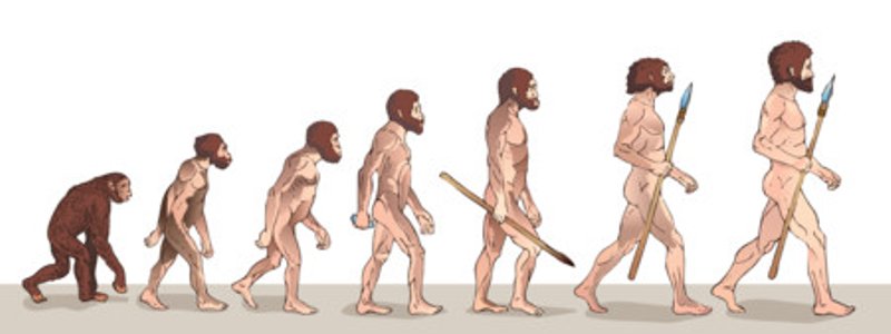 La evolución