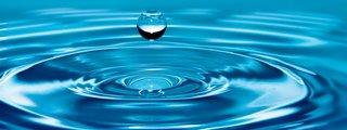 El mundo maravillosos del agua                                                  