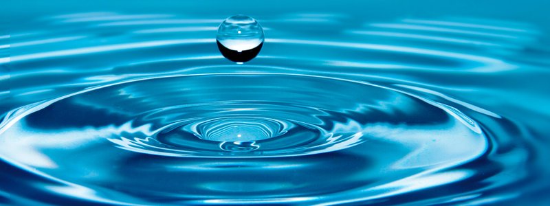 El mundo maravillosos del agua                                                  