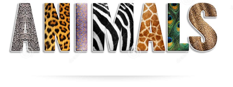 que animal eres