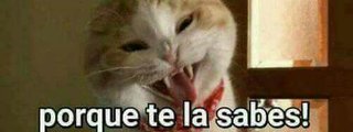 Que youtuber eres