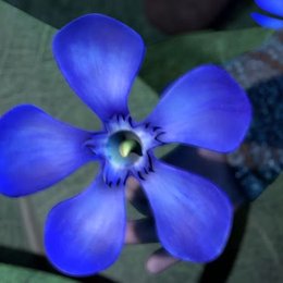 &iquest;Que planta puede enfermar e incluso matar a los dragones? - Test de C&oacute;mo entrenar a tu drag&oacute;n