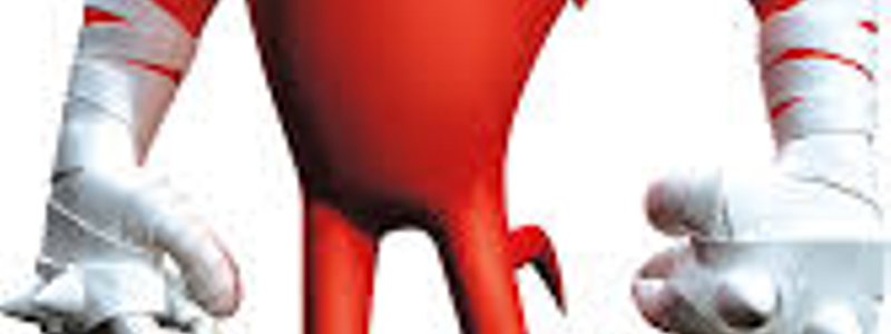 Cuanto sabes de knuckles