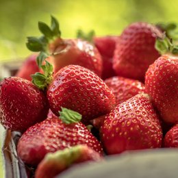 &iquest;De d&oacute;nde son las fresas m&aacute;s famosas de M&eacute;xico? - &iquest;Te crees un experto en gastronom&iacute;a mexicana? Demu&eacute;stralo c