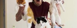 cuanto conoces a german garmendia?