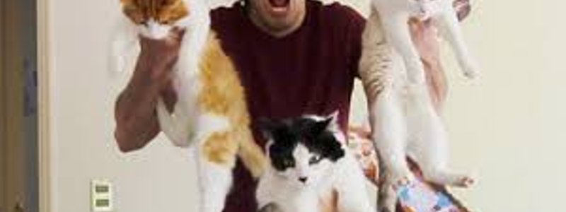 cuanto conoces a german garmendia?