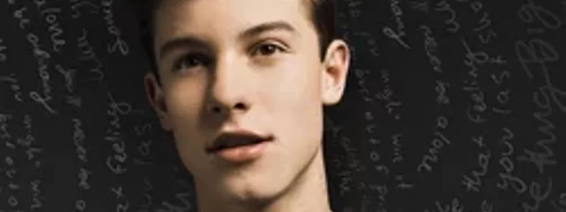 que tanto sabes de shawn mendes