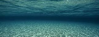 Cuanto sabes de el mar.