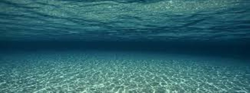 Cuanto sabes de el mar.