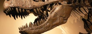 ¿Cuanto sabes de Paleontología? (NIVEL EXPERTO)