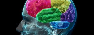 Reconocimiento en tu cerebro