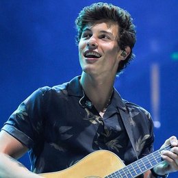 Menciona otra canci&oacute;n que no sea Stitches, IKWYDLS, TYB, LOTP, TNHB, Mercy, BR o SB - Eres realmente una Mendes Army...