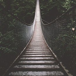 A que le teme... - Eres realmente una Mendes Army...