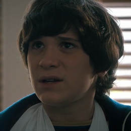 COMO SE LLAMABA EL CHICO QUE MOLESTABA A WILL,DUSTIN, LUCAS Y MIKE - STRANGER THINGS 