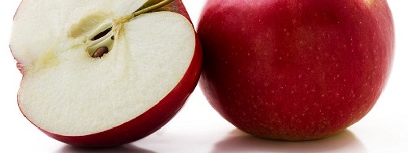 EL CIRCUITO DE LAS MANZANAS