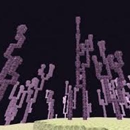 el coral que hace ? MUY DIFICIL - cuanto sabes de minecraft  para pros