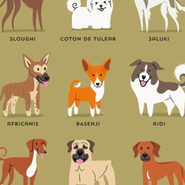 Cual fue el primer perro descubierto hace 31.700 a&ntilde;os? - Cuanto sabes sobre perros?