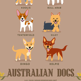 Donde fue domesticado por primera vez el perro? - Cuanto sabes sobre perros?