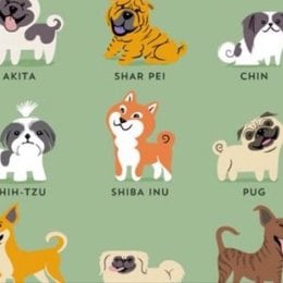 Donde fue domesticado por primera vez el perro? - Que tanto conoces sobre perros