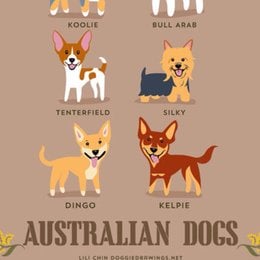 Cual es el pa&iacute;s con m&aacute;s perros del mundo - Que tanto conoces sobre perros