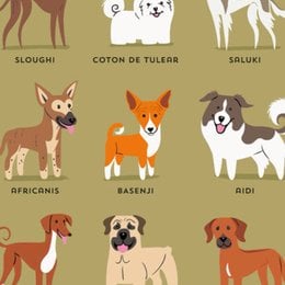 Cuantos perros habitan actualmente en el pa&iacute;s con m&aacute;s perros del mundo - Que tanto conoces sobre perros