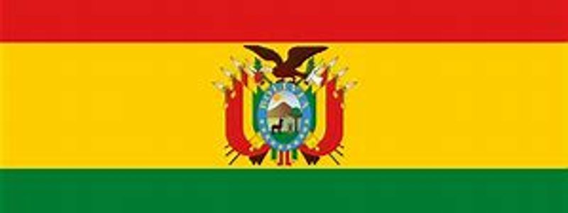 Los indigenas en America Latina 