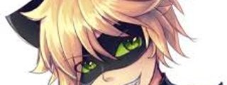 chat noir
