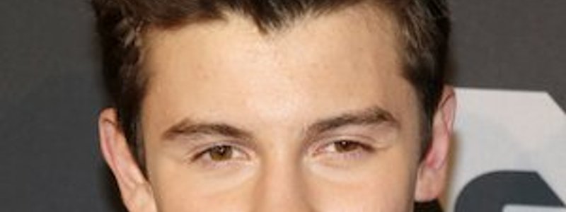 Cuanto conoces a Shawn Mendes